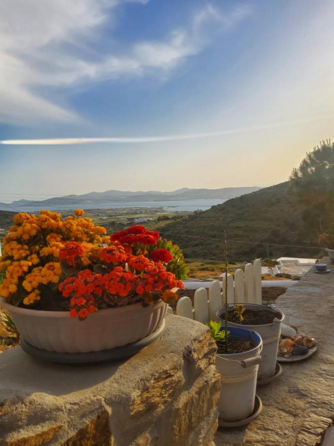 Romantic Sunset Cycladic House In Sotires Moni Christou Dasous Esterno foto