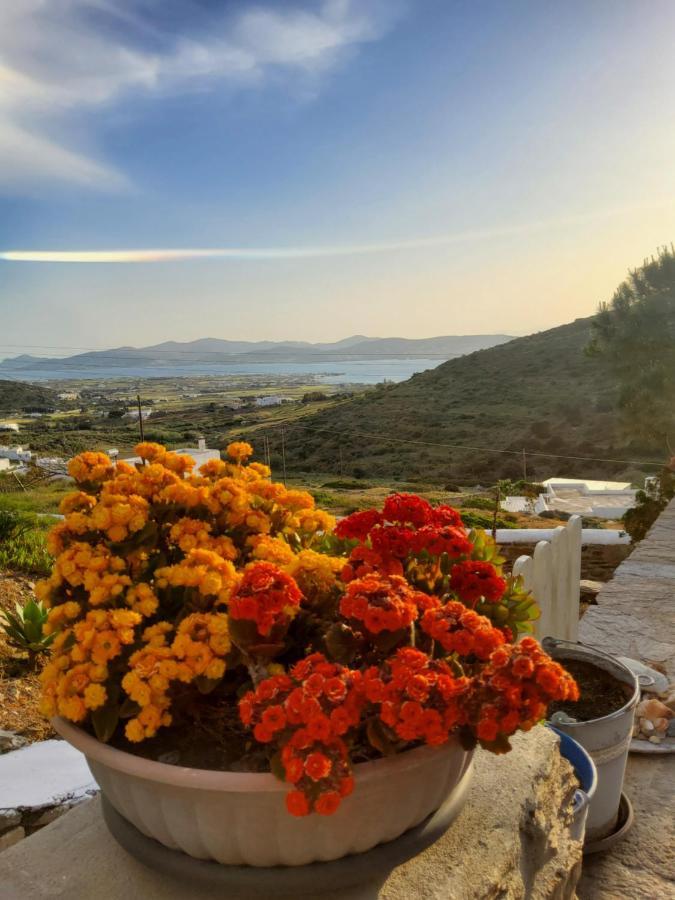 Romantic Sunset Cycladic House In Sotires Moni Christou Dasous Esterno foto